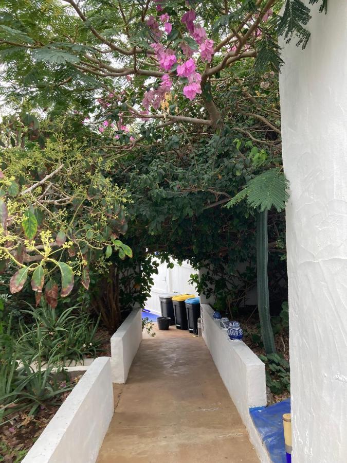 Apartamentos Y Habitaciones Villa Marina La Caleta  Dış mekan fotoğraf