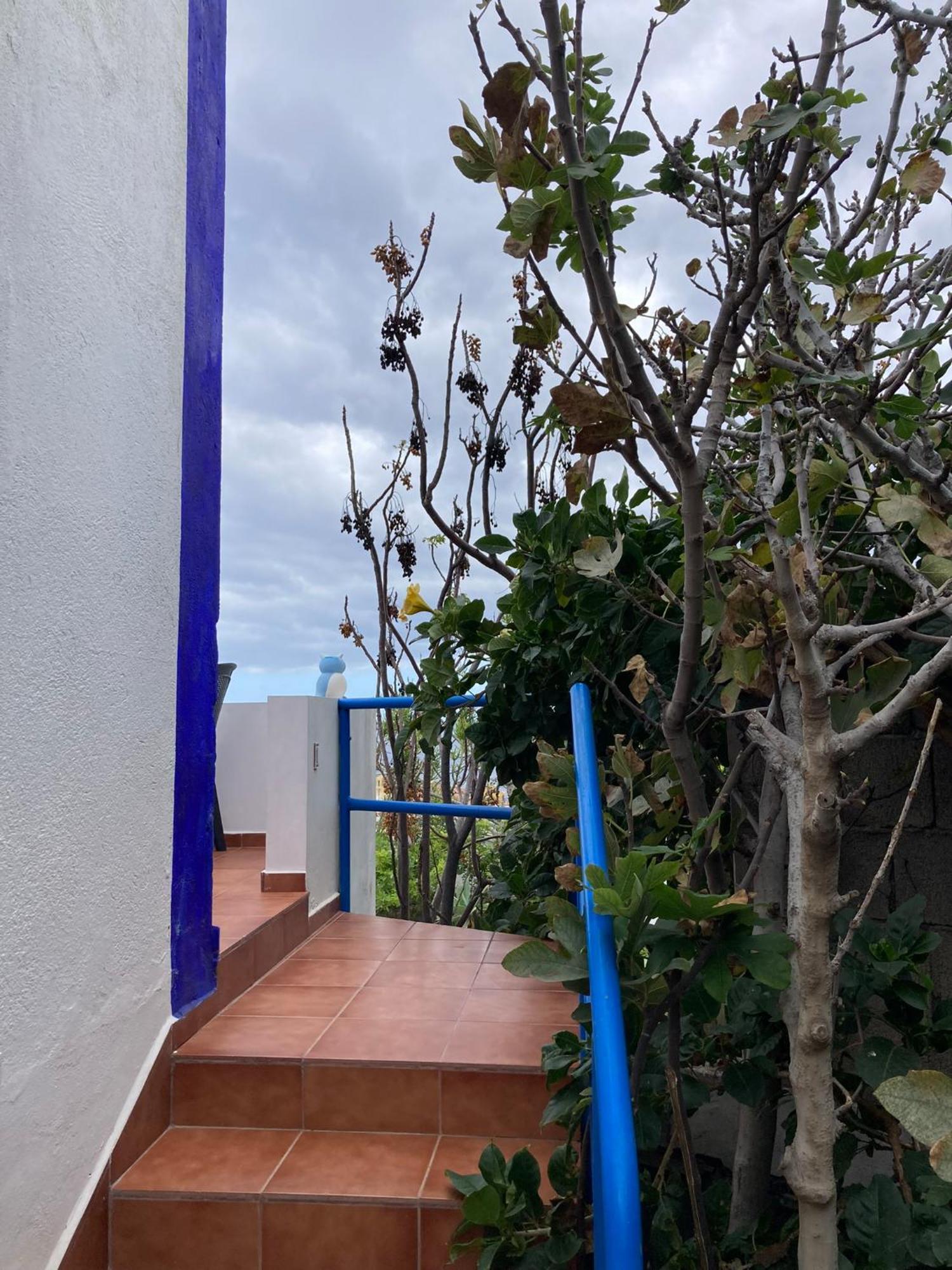 Apartamentos Y Habitaciones Villa Marina La Caleta  Oda fotoğraf