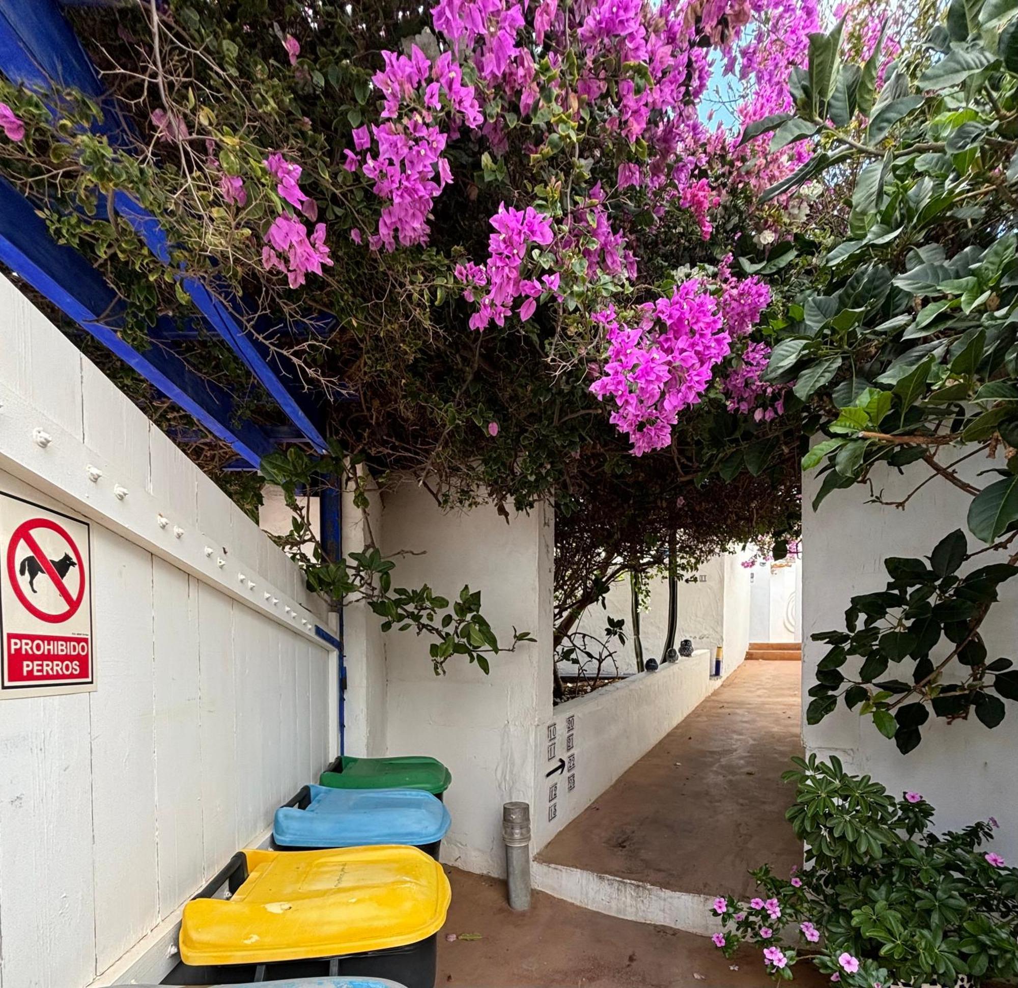 Apartamentos Y Habitaciones Villa Marina La Caleta  Dış mekan fotoğraf
