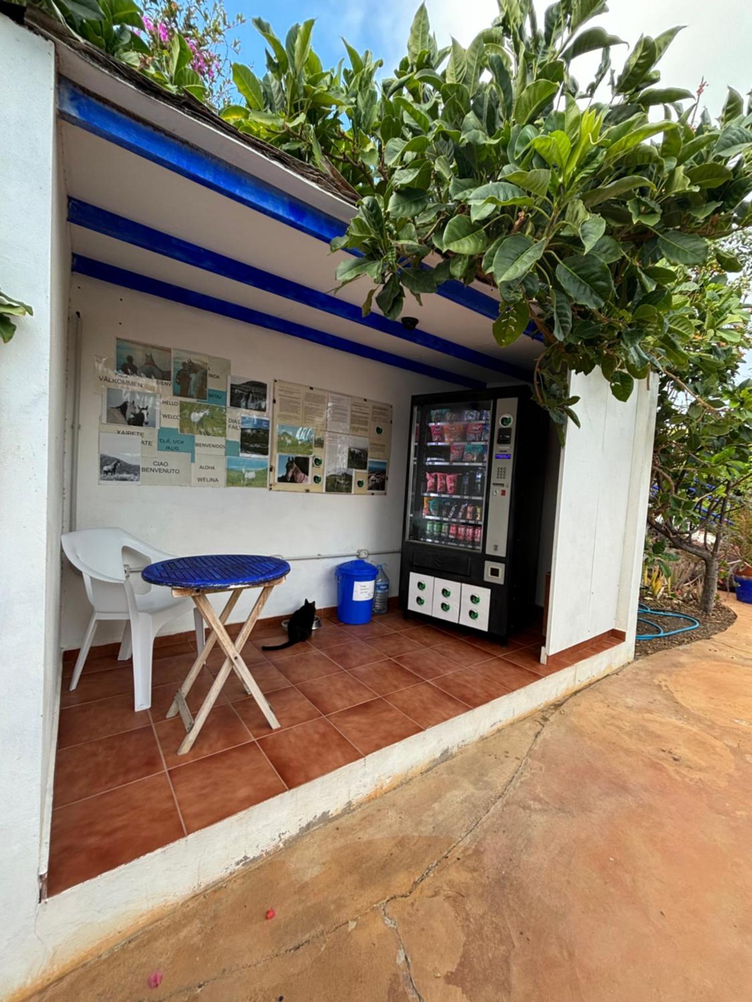 Apartamentos Y Habitaciones Villa Marina La Caleta  Dış mekan fotoğraf