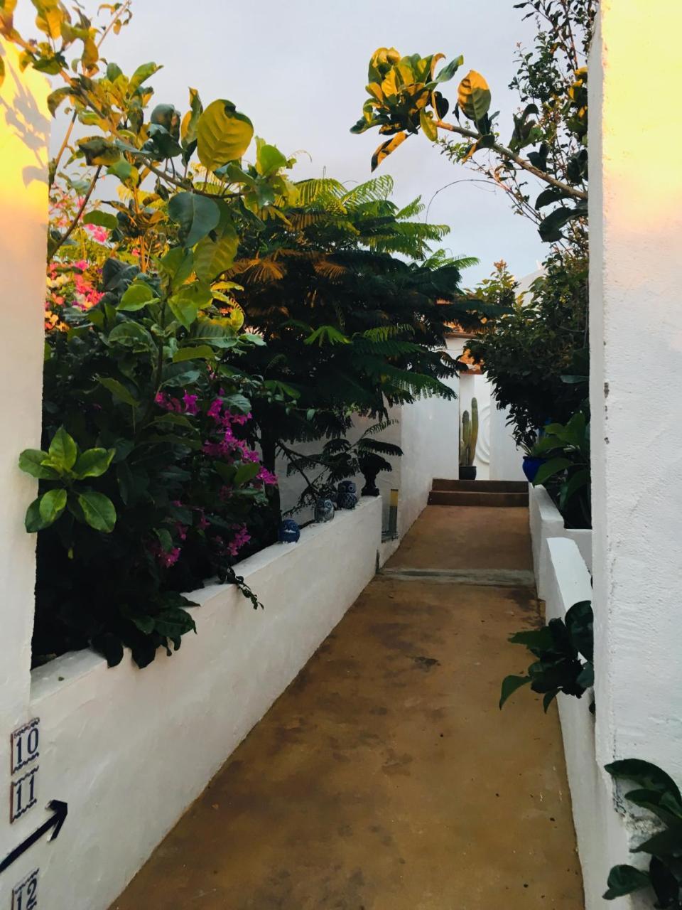 Apartamentos Y Habitaciones Villa Marina La Caleta  Dış mekan fotoğraf