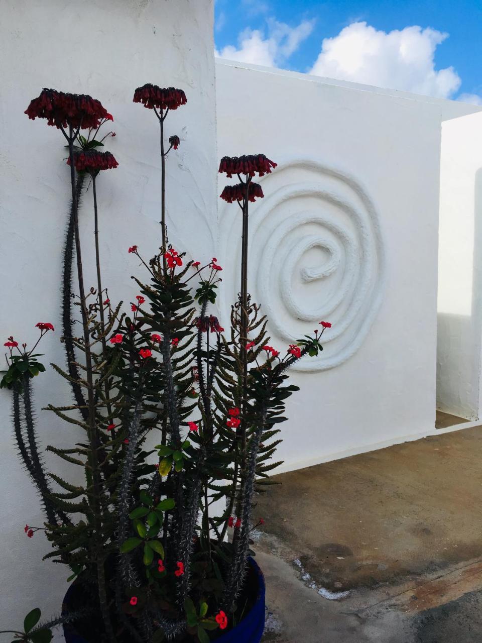 Apartamentos Y Habitaciones Villa Marina La Caleta  Dış mekan fotoğraf